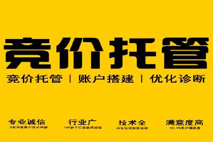 百度推广费用投入与用户转化路径的优化案例
